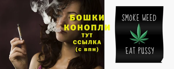 молекула духа Тихвин