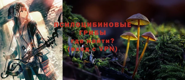 твердый Нягань