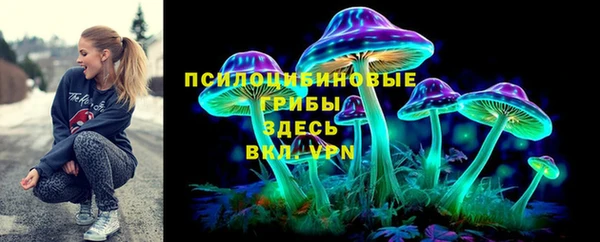 твердый Нягань