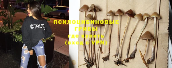 мескалин Няндома