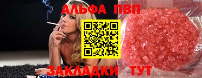 стаф Берёзовский