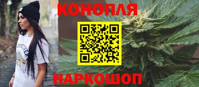стаф Берёзовский