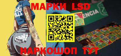 стаф Берёзовский