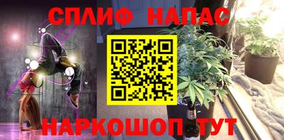 стаф Берёзовский