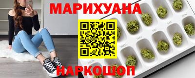 стаф Берёзовский