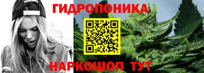 стаф Берёзовский