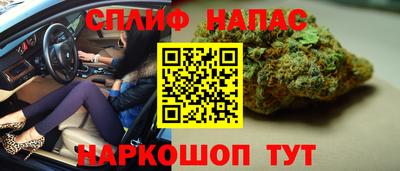 трава Бийск