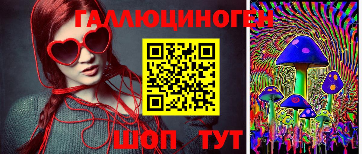 Галлюциногенные грибы мухоморы  что такое   Псилоцибиновые грибы MAGIC MUSHROOMS  Богданович 