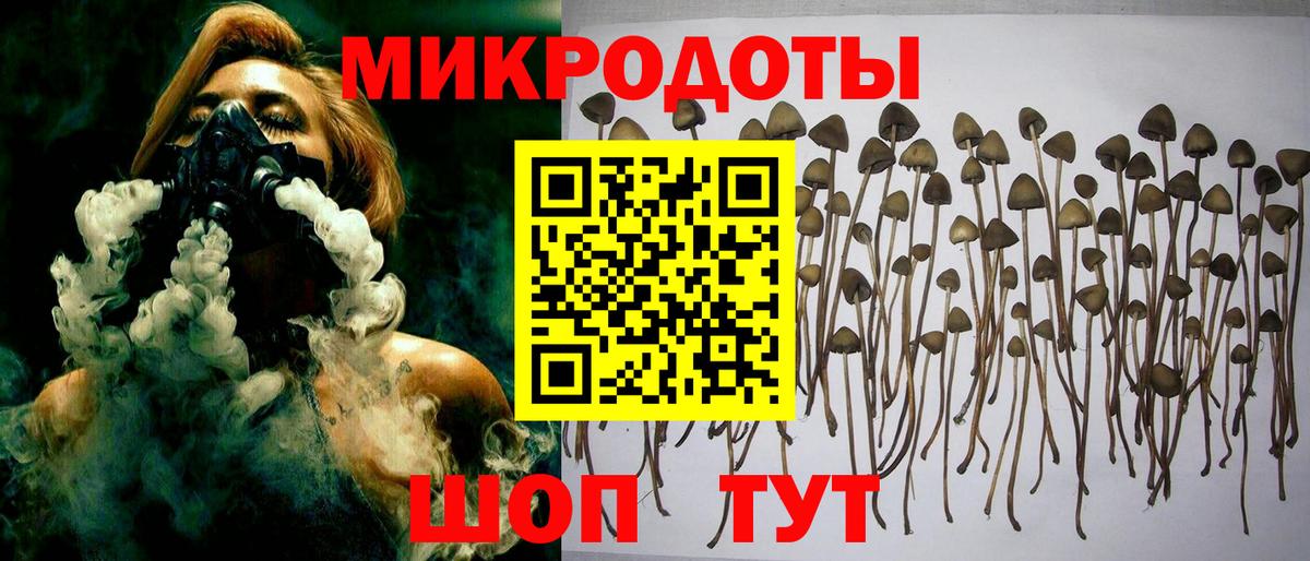 Галлюциногенные грибы GOLDEN TEACHER  Вход с VPN  Богданович 