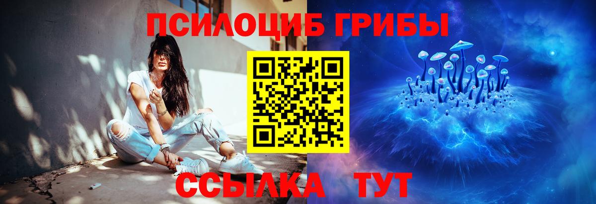 Галлюциногенные грибы мухоморы Богданович