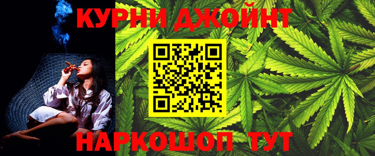 Каннабис сатива  Богданович  Шишки марихуана семена 